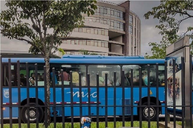 Explore the vibrant streets of Cali with our guided tours.