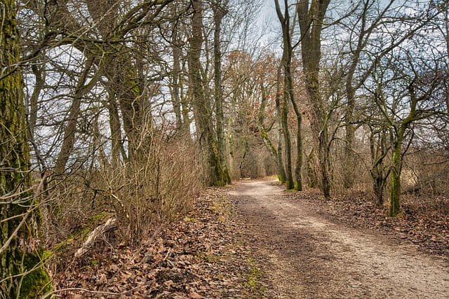 Explore Cali's stunning natural beauty with our guided tours.