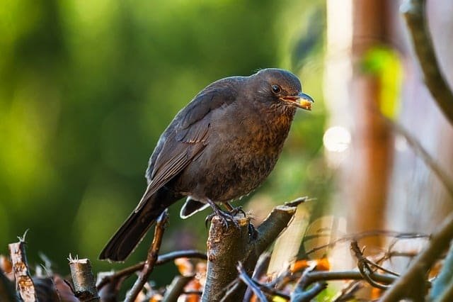 Explore Cali's stunning natural beauty with our guided tours.