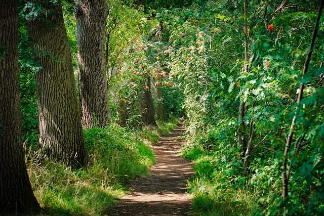 Explore Cali's stunning natural beauty with our guided tours.