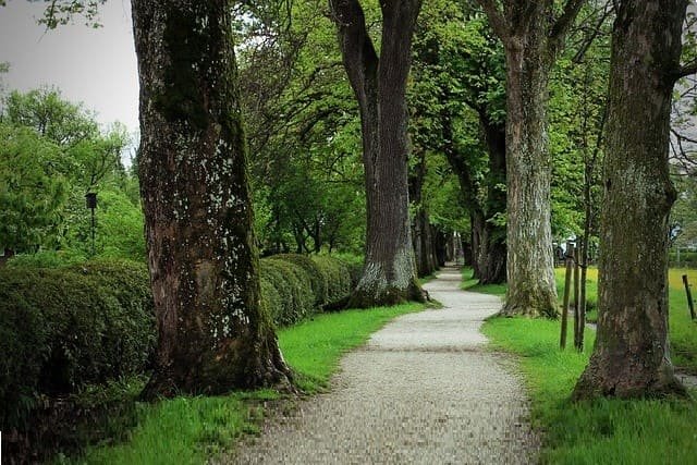 Explore Cali's stunning natural beauty with our guided tours.