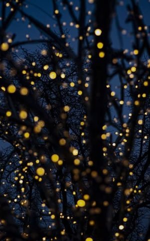 Explore the vibrant streets of Cali with our guided tours.