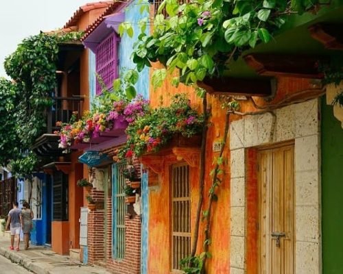 Explore the vibrant streets of Cali with our guided tours.