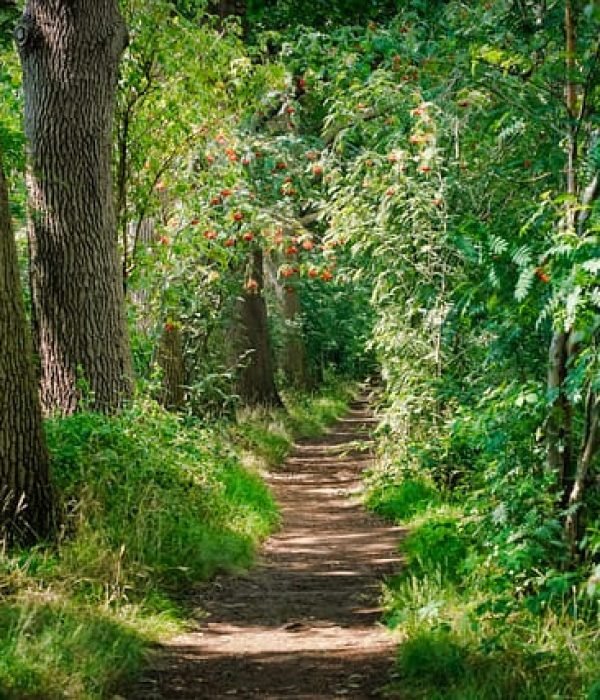 Explore Cali's stunning natural beauty with our guided tours.